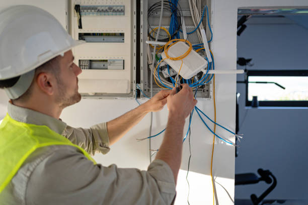 Best Electric Panel Repair  in Nowthen, MN